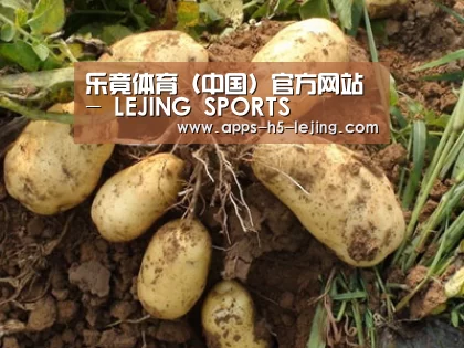 种植基地六
