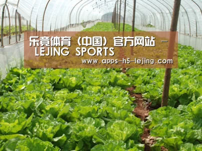 种植基地五
