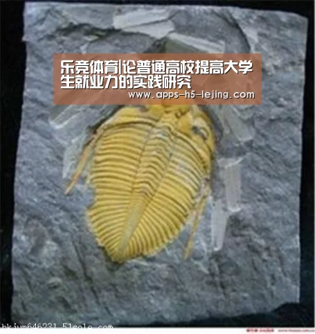乐竞体育|论普通高校提高大学生就业力的实践研究(图1) 乐竞体育