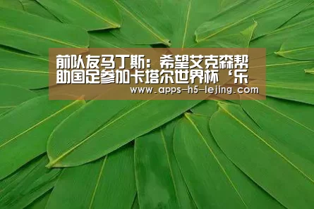 前队友马丁斯:希望艾克森帮助国足参加卡塔尔世界杯‘乐竞体育下载’(图2) 乐竞体育平台